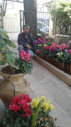 עיצוב ופיתוח גינות